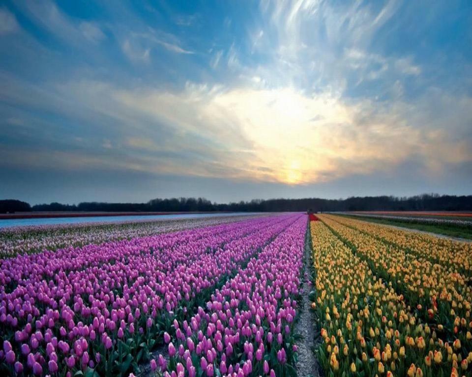 Het Hoekhuisje 에크몬드안지 외부 사진